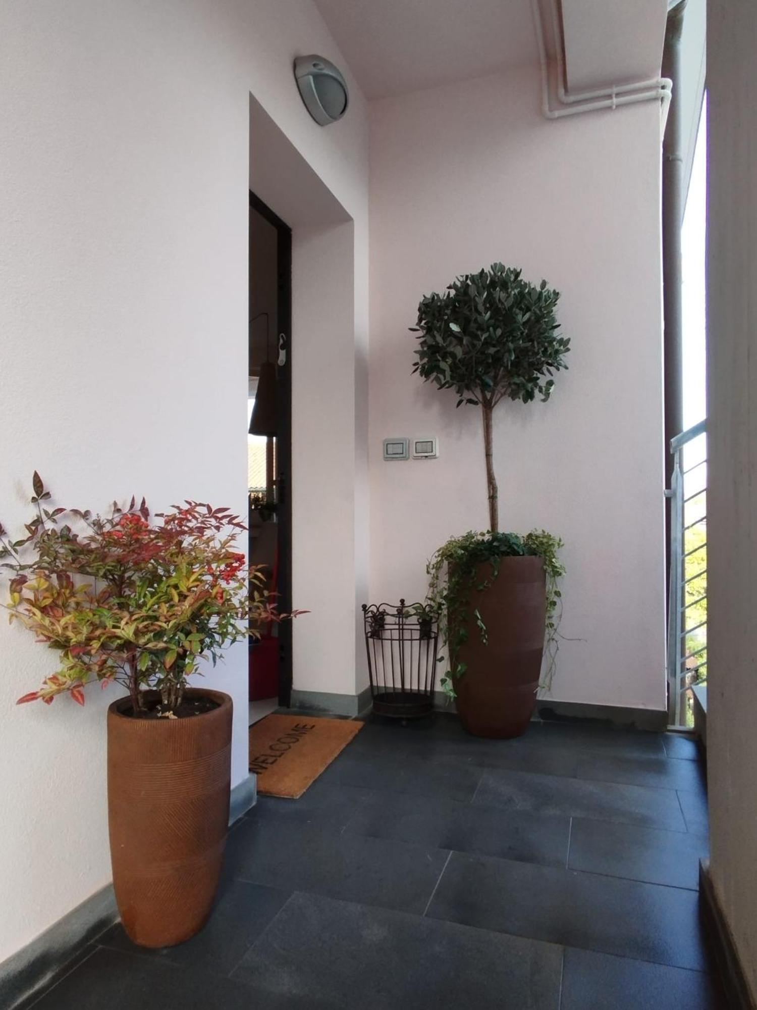 루카 Casa Degli Aromi 아파트 외부 사진